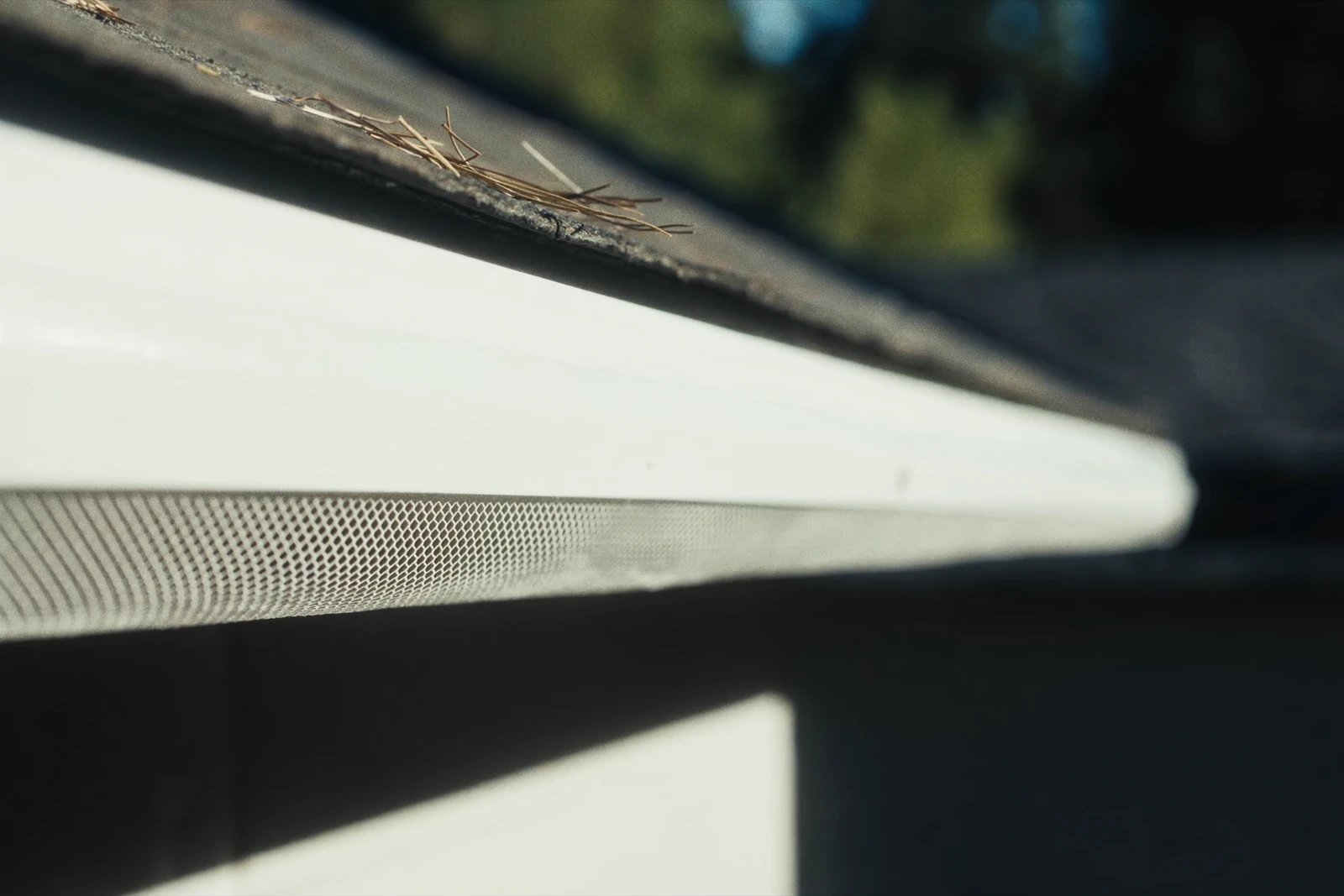 Close view of a white gutter with a fine mesh guard beneath a roof edge with pine needles